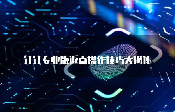 钉钉专业版返点操作技巧大揭秘
