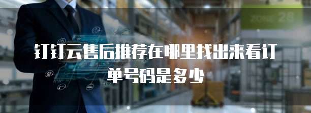 钉钉云售后推荐在哪里找出来看订单号码是多少