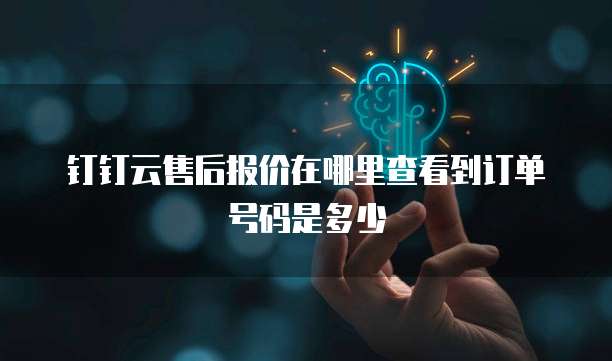 钉钉云售后报价在哪里查看到订单号码是多少
