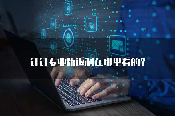 钉钉专业版返利在哪里看的?