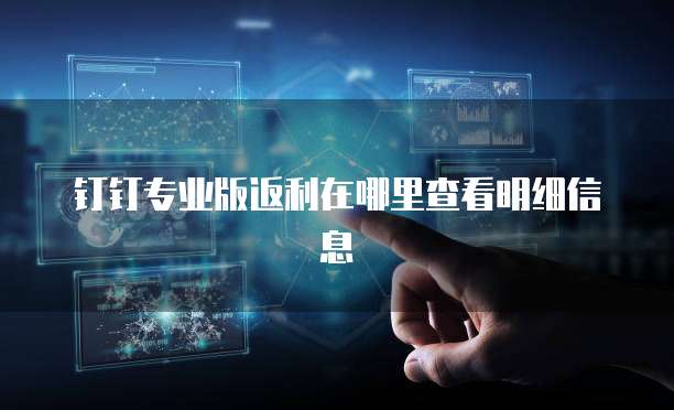 钉钉专业版返利在哪里查看明细信息