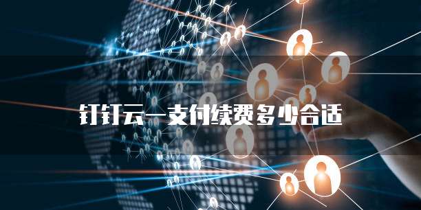 钉钉云一支付续费多少合适