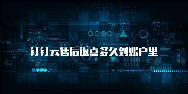 钉钉云售后返点多久到账户里