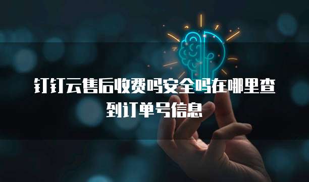 钉钉云售后收费吗安全吗在哪里查到订单号信息