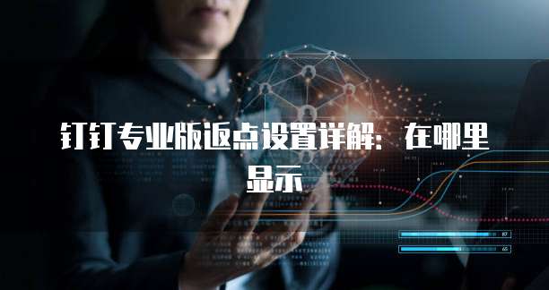 钉钉专业版返点设置详解:在哪里显示