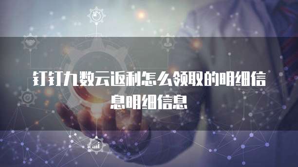 钉钉九数云返利怎么领取的明细信息明细信息