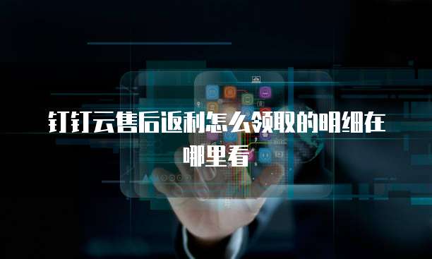 钉钉云售后返利怎么领取的明细在哪里看