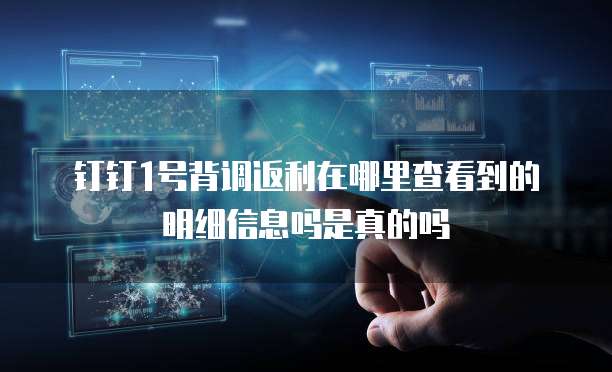 钉钉1号背调返利在哪里查看到的明细信息吗是真的吗