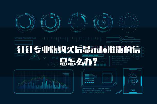 钉钉专业版购买后显示标准版的信息怎么办?