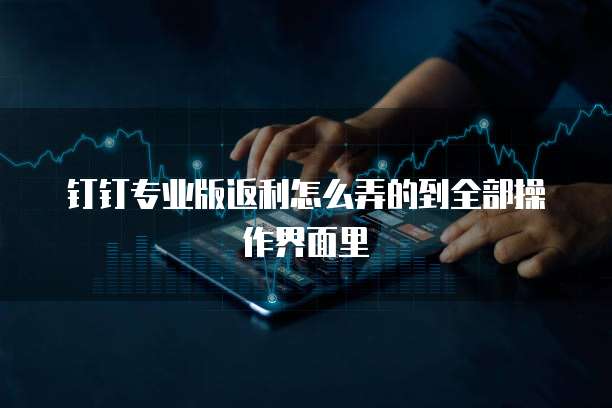 钉钉专业版返利怎么弄的到全部操作界面里