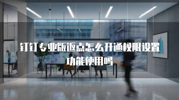 钉钉专业版返点怎么开通权限设置功能使用吗