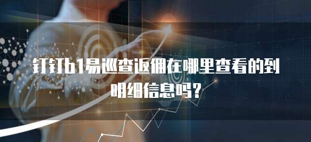 钉钉b1易巡查返佣在哪里查看的到明细信息吗?