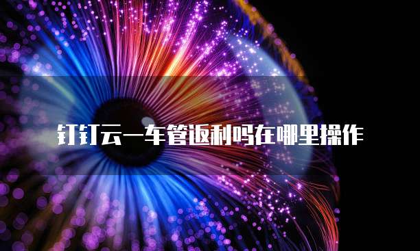 钉钉云一车管返利吗在哪里操作