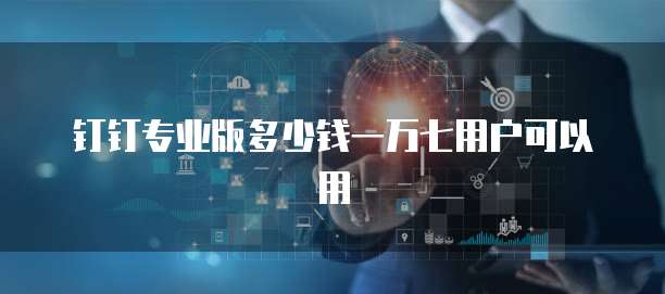 钉钉专业版多少钱一万七用户可以用