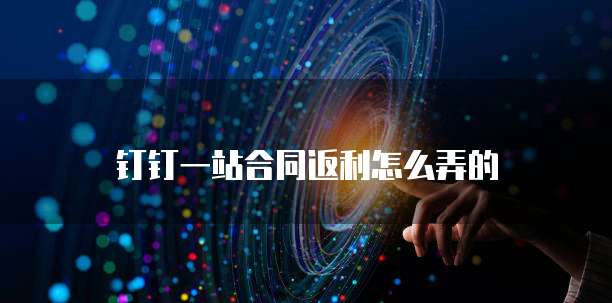 钉钉一站合同返利怎么弄的