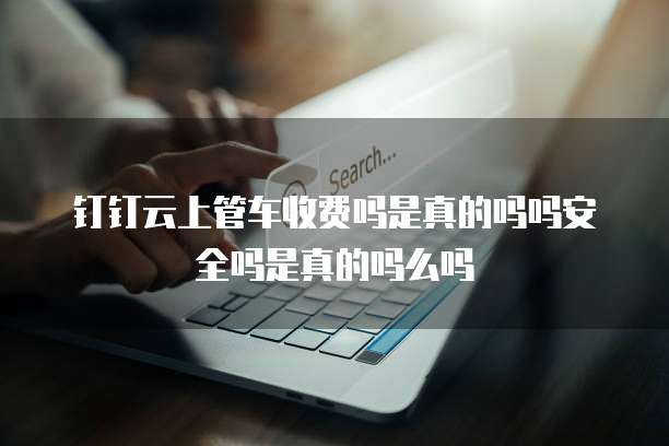 钉钉云上管车收费吗是真的吗吗安全吗是真的吗么吗