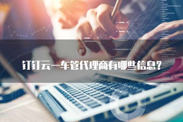 钉钉云一车管代理商有哪些信息?