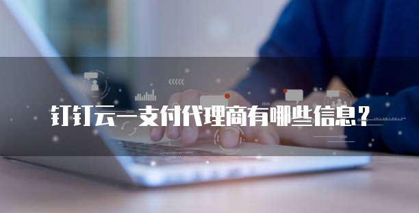 钉钉云一支付代理商有哪些信息?