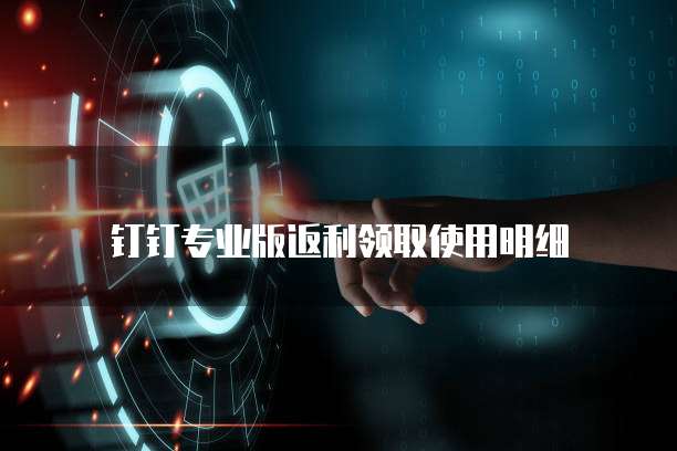钉钉专业版返利领取使用明细