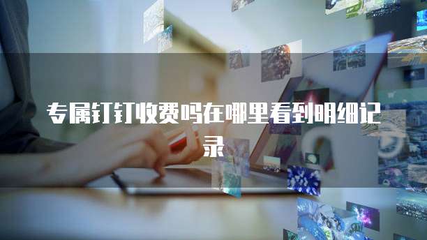 专属钉钉收费吗在哪里看到明细记录