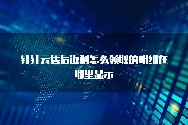 钉钉云售后返利怎么领取的明细在哪里显示