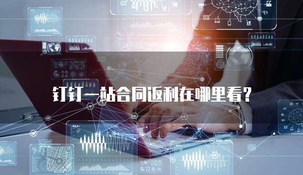 钉钉一站合同返利在哪里看?