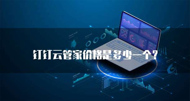 钉钉云管家价格是多少一个?