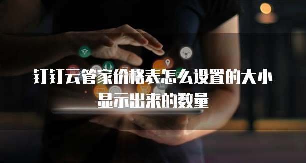 钉钉云管家价格表怎么设置的大小显示出来的数量