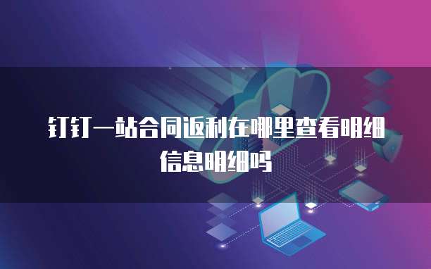 钉钉一站合同返利在哪里查看明细信息明细吗