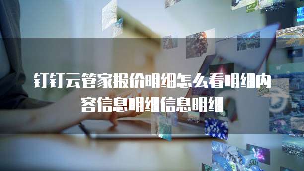 钉钉云管家报价明细怎么看明细内容信息明细信息明细