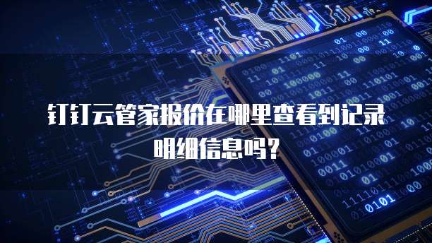 钉钉云管家报价在哪里查看到记录明细信息吗?
