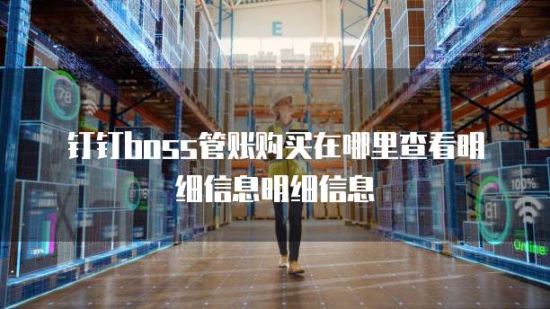 钉钉boss管账购买在哪里查看明细信息明细信息