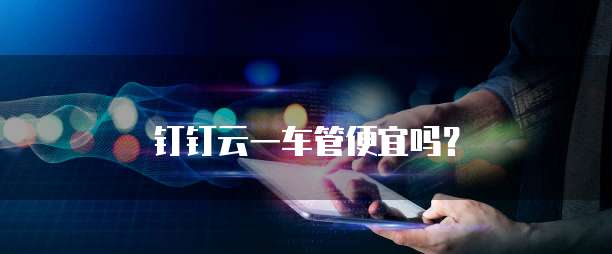 钉钉云一车管便宜吗?