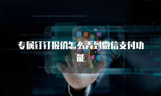 专属钉钉报价怎么弄到微信支付功能
