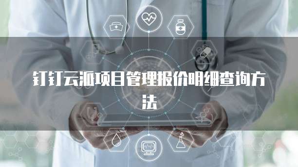 钉钉云派项目管理报价明细查询方法