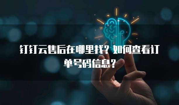 钉钉云售后在哪里找?如何查看订单号码信息?