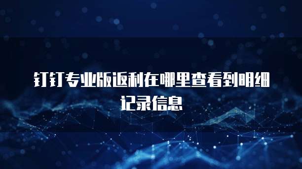 钉钉专业版返利在哪里查看到明细记录信息