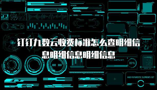 钉钉九数云收费标准怎么查明细信息明细信息明细信息