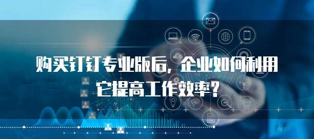 购买钉钉专业版后, 企业如何利用它提高工作效率?