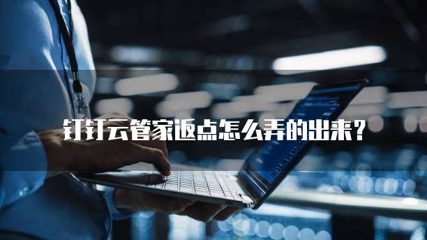 钉钉云管家返点怎么弄的出来?