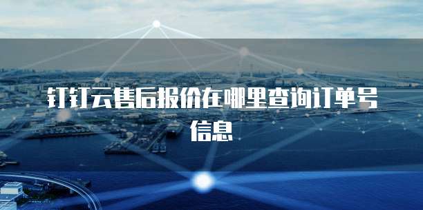 钉钉云售后报价在哪里查询订单号信息