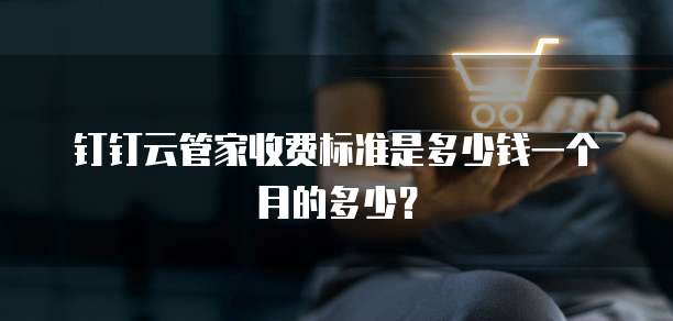 钉钉云管家收费标准是多少钱一个月的多少?