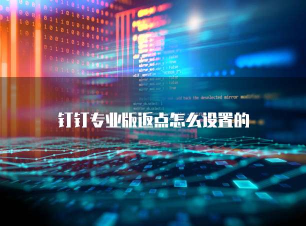 钉钉专业版返点怎么设置的