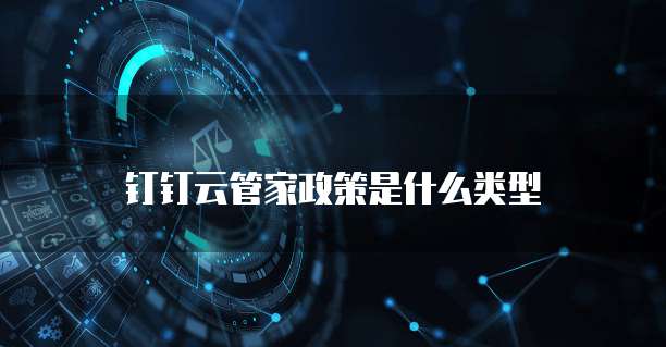 钉钉云管家政策是什么类型