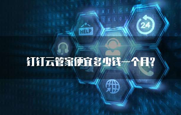 钉钉云管家便宜多少钱一个月?