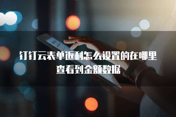 钉钉云表单返利怎么设置的在哪里查看到金额数据