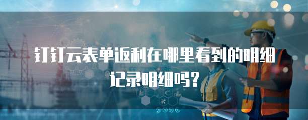 钉钉云表单返利在哪里看到的明细记录明细吗?