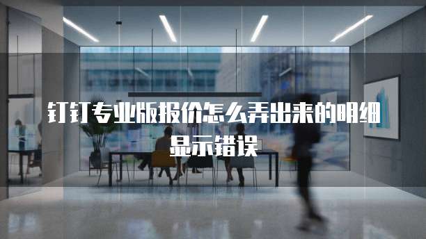 钉钉专业版报价怎么弄出来的明细显示错误