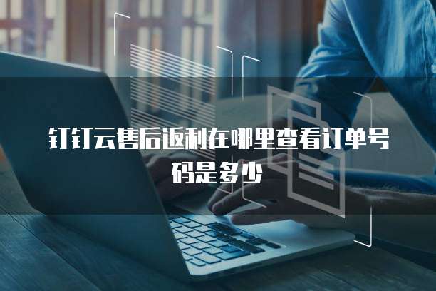 钉钉云售后返利在哪里查看订单号码是多少