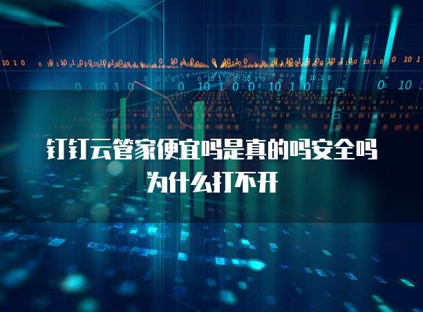 钉钉云管家便宜吗是真的吗安全吗为什么打不开